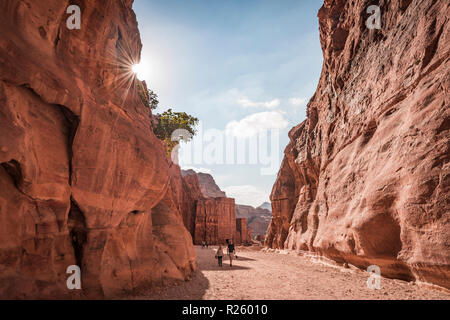 Rocce scolpite case, città Nabataean Petra, vicino a Wadi Musa, Giordania Foto Stock