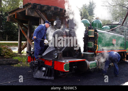 Gembrook treno a vapore Foto Stock