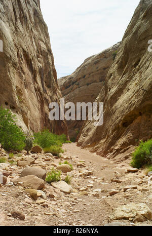 Il sentiero attraverso la gola del Campidoglio presso il Capitol Reef National Park nello Utah Foto Stock