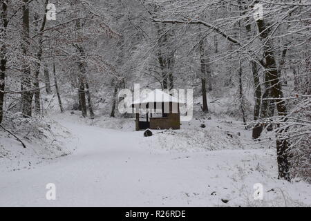 Una capanna in legno, un luogo di riposo durante la giornata di escursioni nella foresta invernale ai piedi dell'Hunsrück alta foresta nella campagna del Saarland. Foto Stock