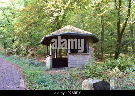 Una capanna in legno, un luogo di riposo durante la giornata di escursioni nella foresta di autunno alle pendici del Hunsrück alta foresta nella campagna del Saarland. Foto Stock