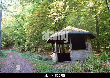 Una capanna in legno, un luogo di riposo durante la giornata di escursioni nella foresta di autunno alle pendici del Hunsrück alta foresta nella campagna del Saarland. Foto Stock