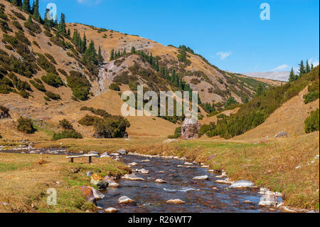 Stony fiume di montagna altopiano Assy. Il Kazakistan Foto Stock