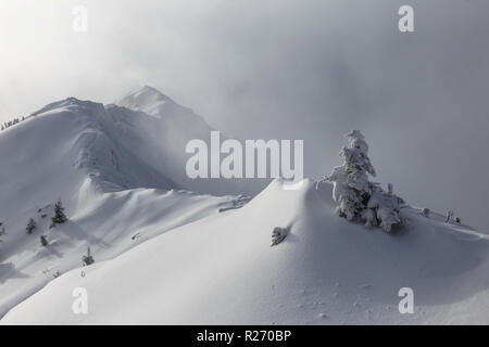 Paesaggio di montagna. Nebbia e nuvole sulla parte superiore. Pendici innevate. Immagine in bianco e nero. Foto Stock