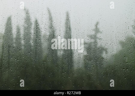 Le gocce di pioggia sul vetro di una finestra e lontani gli alberi della foresta. Rainy day astratta. Foto Stock