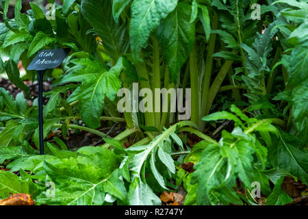 Autunno al giardino in stile rococò, Gloucestershire, UK. Situato in Cotswolds questo giardino è utilizzata come un luogo di nozze ed è famosa per la sua bucaneve Foto Stock