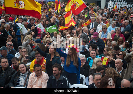 I sostenitori della spagnola estrema destra partito VOX sono visto sventolare la bandiera spagnola durante la campagna delle elezioni regionali in Andalusia. Foto Stock