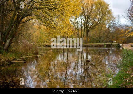 Autunno in Daisy Nook Foto Stock