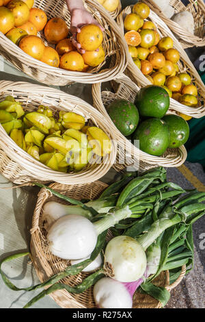 Miami Florida,Legion Park,Upper Eastside Green Market,Farmer's,Farmers Market,Fruit,venditori bancarelle stand mercato stand, acquisto acquirenti Foto Stock