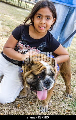 Miami Florida, Legion Park, cani sul passerella, cani di cane, moda, trendy, lusso, alla moda, Bulldog inglese, muso corto, ispanico latino Latino etnico imm Foto Stock