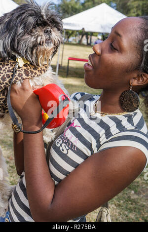 Miami Florida,Legion Park,Dogs on the Catwalk,moda,trendy,lusso,alla moda,Black Blacks African African Africans etnic minorità,girl girls,youngster you Foto Stock