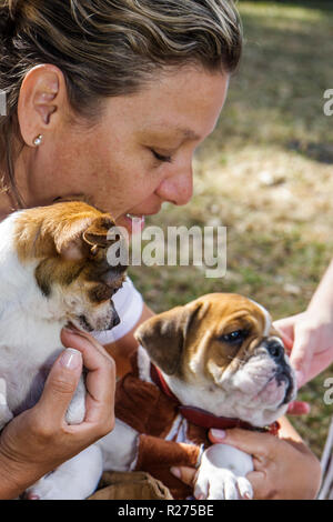 Miami Florida,Legion Park,cani sul passerella,cani di cane,moda,trendy,lusso,alla moda,adulti adulte donna donna donna donna donna donna donna donna donna donna donna donna,cani giocattolo cane, animali domestici,ho Foto Stock