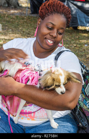 Miami Florida,Legion Park,Dogs on the Catwalk,cane cani,moda,trendy,lusso,alla moda,Black Blacks African African African Minority,adulti adulti wo Foto Stock