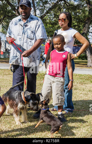 Miami Florida, Legion Park, cani sul passerella, cani, neri neri africani africani minoranza etnica, adulti adulti uomo uomini maschio, donna donna donna donna donna donna donna donna donna donna donna donna donna donna donna Foto Stock