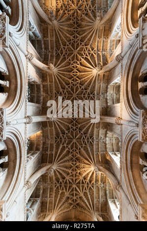 Coro soffitto della cattedrale di Christ Church di Oxford, costruito nel 1500 dal maestro muratore William Orchard. Foto Stock