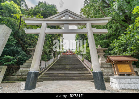 Tokyo - Agosto 14, 2018 : Ingresso torii gate di Hie Jinja. Sacrario scintoista situato nel quartiere Nagatacho, nel quartiere Chiyoda. Sancisce Hie-no-kami e Oyama Foto Stock