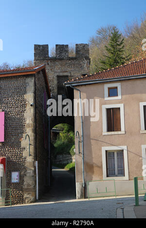 Visita Drôme punti di interesse : Hauterives Foto Stock