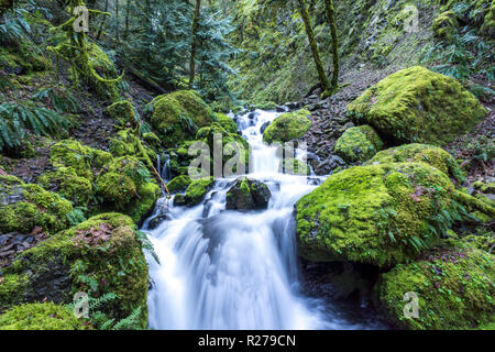 Cascate e flusso, moss ricoperta di rocce. Iconica immagine Oregon, Pacific Northwest Foto Stock