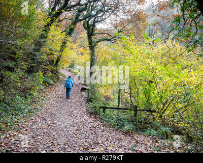 Una donna in blue coat a piedi lungo un percorso dal fiume West Lyn a Lynmouth nel Parco Nazionale di Exmoor Devon, Regno Unito Foto Stock