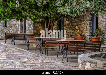 Tavoli e panche sotto il vecchio albero. Cafe 2018 Foto Stock