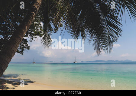 Spiaggia tropicale con palme, sabbia bianca e acqua turchese, Thailandia Foto Stock