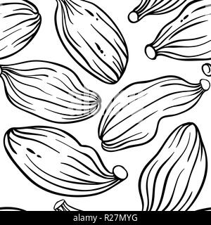 Semi di cardamomo vector pattern su sfondo bianco Illustrazione Vettoriale