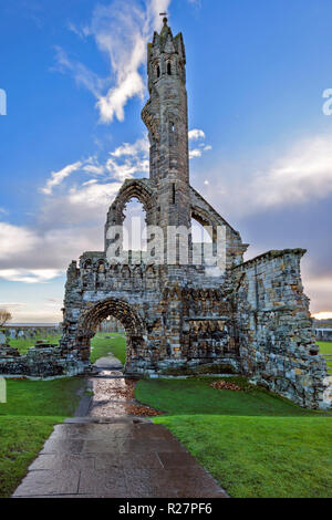 ST Andrews Fife Scozia la cattedrale rovine resti di una torre Foto Stock