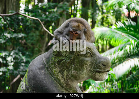 Monkey giacente sulla statua nella foresta delle scimmie a Bali, in Indonesia Foto Stock