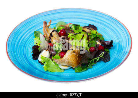 Fresche insalate colorate da quaglie alla griglia e un assortimento di verdi con miele e zenzero e salsa di mirtilli rossi sulla piastra di blu. Isolato su sfondo bianco Foto Stock