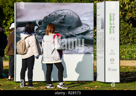 Luminose giornate di sole a Londra. Nelle femmine la visualizzazione di campi di battaglia terre di pace 14-18 progetto visualizzazione foto in St James Park. Foto Stock