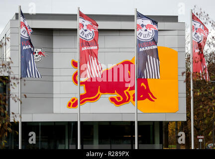 Leipzig, Germania. Xiv Nov, 2018. La Red Bull Academy di calcio, il RB Lipsia Centro di formazione su Cottaweg. Credito: Jan Woitas/dpa-Zentralbild/dpa/Alamy Live News Foto Stock