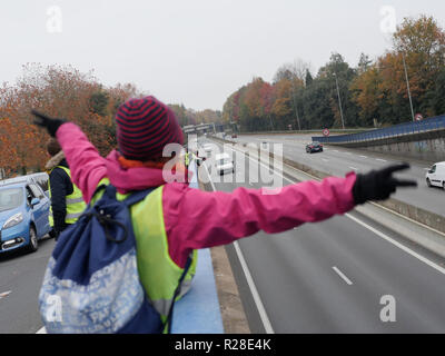 Nantes, Francia. 17 Nov, 2018. Occupazione e dimostrazione di 'giacca gialla' manifestanti a Nantes contro il governo francese a Nantes , Francia , 11/17/18 Credito: VERNAULT QUENTIN/Alamy Live News Foto Stock