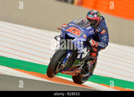 Cheste, Spagna.17 Novembre 2018,Maverick Viñales,il pilota della motogp,,della Yamaha team Movistar, in qualifica per la pole position per la Comunitat Valenciana GP.infine ha ottenuto la pole Credito: rosdemora/Alamy Live News Foto Stock