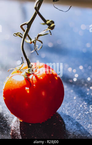 Una ciliegia retroilluminato (pomodoro Solanum lycopersicum var. cerasiformeon) su un ripiano in granito con bokeh in background Foto Stock