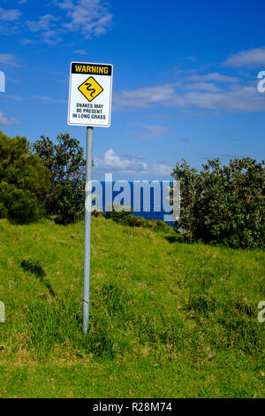 Australian cartello segnaletico, serpenti può essere presente in erba lunga, costa del NSW, Australia Foto Stock