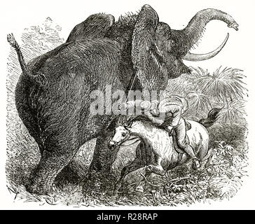 Vecchia illustrazione della caccia elefante in Africa. Da autore non identificato, publ. in Le Tour du Monde, Parigi, 1863 Foto Stock