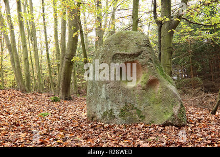 Menhir teschio di pietra è un masso nei boschi sulla regione Sedlcansko, Repubblica Ceca Foto Stock