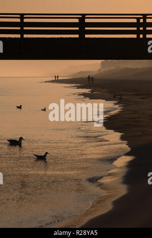 Atmosfera mattutina presso il Mar Baltico a sunrise in Prerow, Germania. Foto Stock