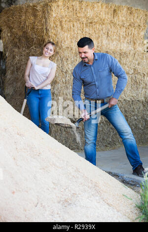 Due allegro i lavoratori agricoli azienda big badili su accanto al mucchio di sabbia in agriturismo in ambienti interni Foto Stock