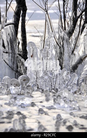 Un arbusto ricoperto di uno spesso strato di ghiaccio un gelido inverno giorno Foto Stock