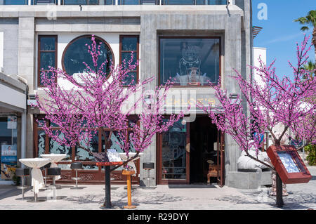 Di Chloe ristorante Cinese, Poseidonos Avenue, Paphos (Paphos), Pafos District, la Repubblica di Cipro Foto Stock