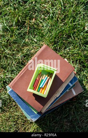 Matite di piccole dimensioni in una scatola e libri Foto Stock