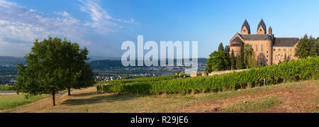 Santa Ildegarda Abbey e vigneti, Rudesheim, Renania-Palatinato, Germania Foto Stock