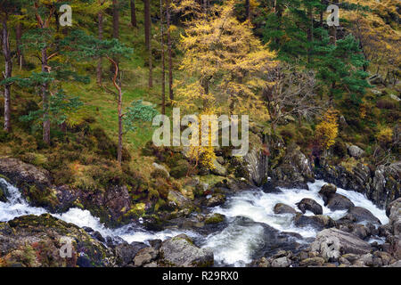 Ogwen cade è il punto in cui il fiume Ogwen inizia il suo cammino da Llyn Ogwen nell'Nant Ffrancon valley in Snowdonia, il Galles del Nord. Foto Stock