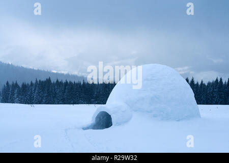 Neve vera casa igloo in inverno le montagne dei Carpazi. Coperte di neve abeti sullo sfondo Foto Stock