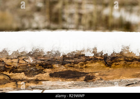 In prossimità di una recinzione di legno ricoperta di fresco con neve caduti. Foto Stock