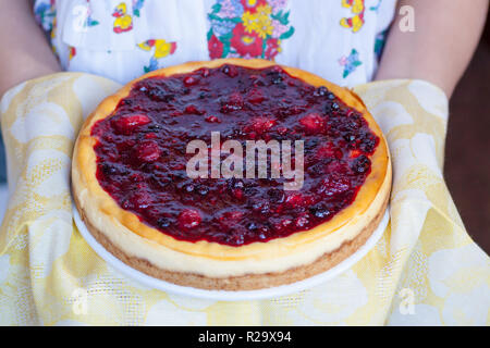 Donne azienda dolce da forno cheesecake torta. Bacche rosse, mirtillo, fragola. Foto Stock