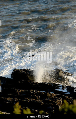 Foro di sfiato su scogliere sul mare emette spray attraverso la fessura tra il calcare piani letto accanto al sentiero costiero e un forte fischio Foto Stock