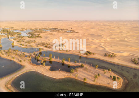 Vista aerea di Al Qudra laghi in un deserto di Dubai Foto Stock