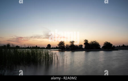 Sunraise in Al Qudra riserva del lago, vicino a Dubai Foto Stock